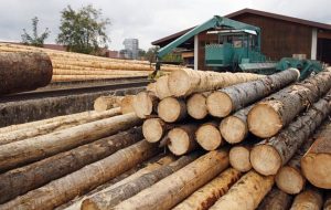 Comercialización de la madera