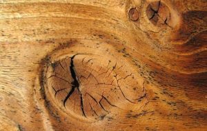 Madera
