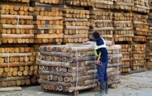 venta de madera